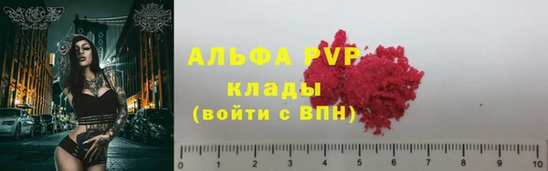 прущие грибы Володарск